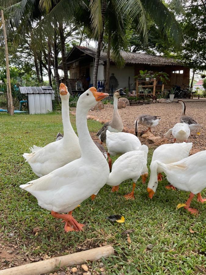 Suanglangna Appartement Phrae Buitenkant foto